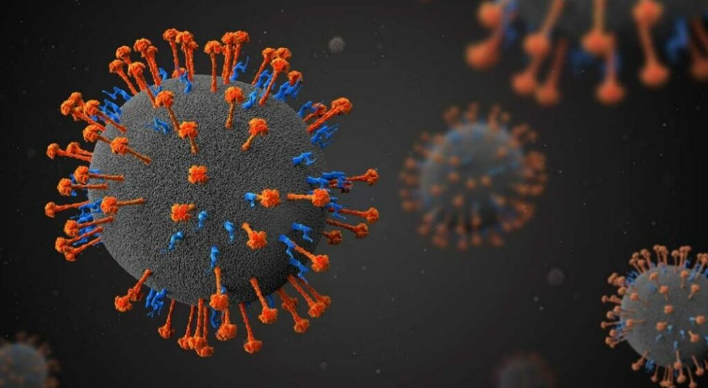 Nipah Virus Telugu