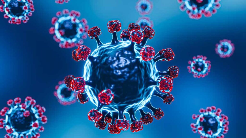 Nipah Virus
