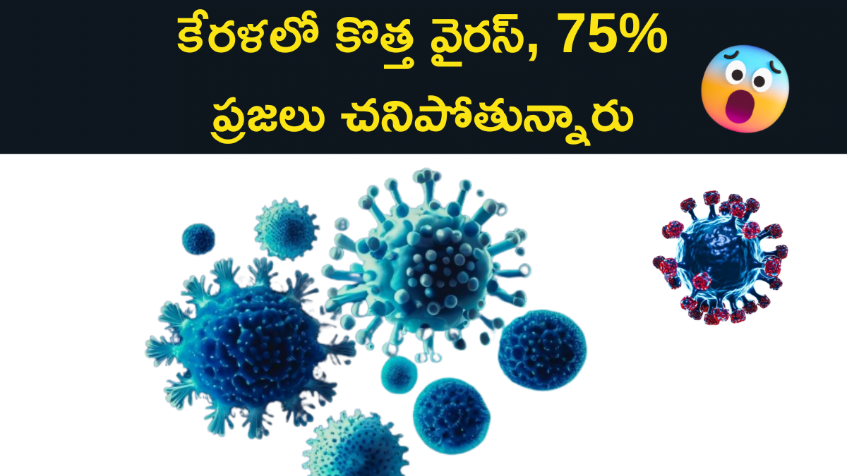 Nipah Virus News