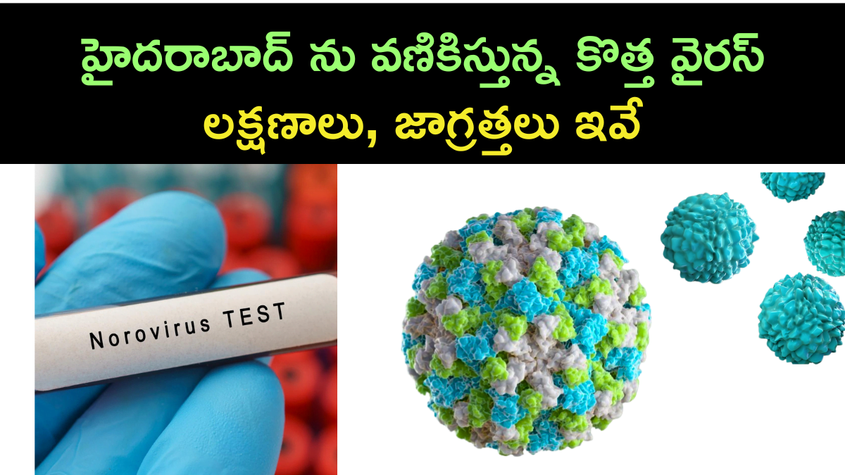 New Virus Outbreak In Hyderabad