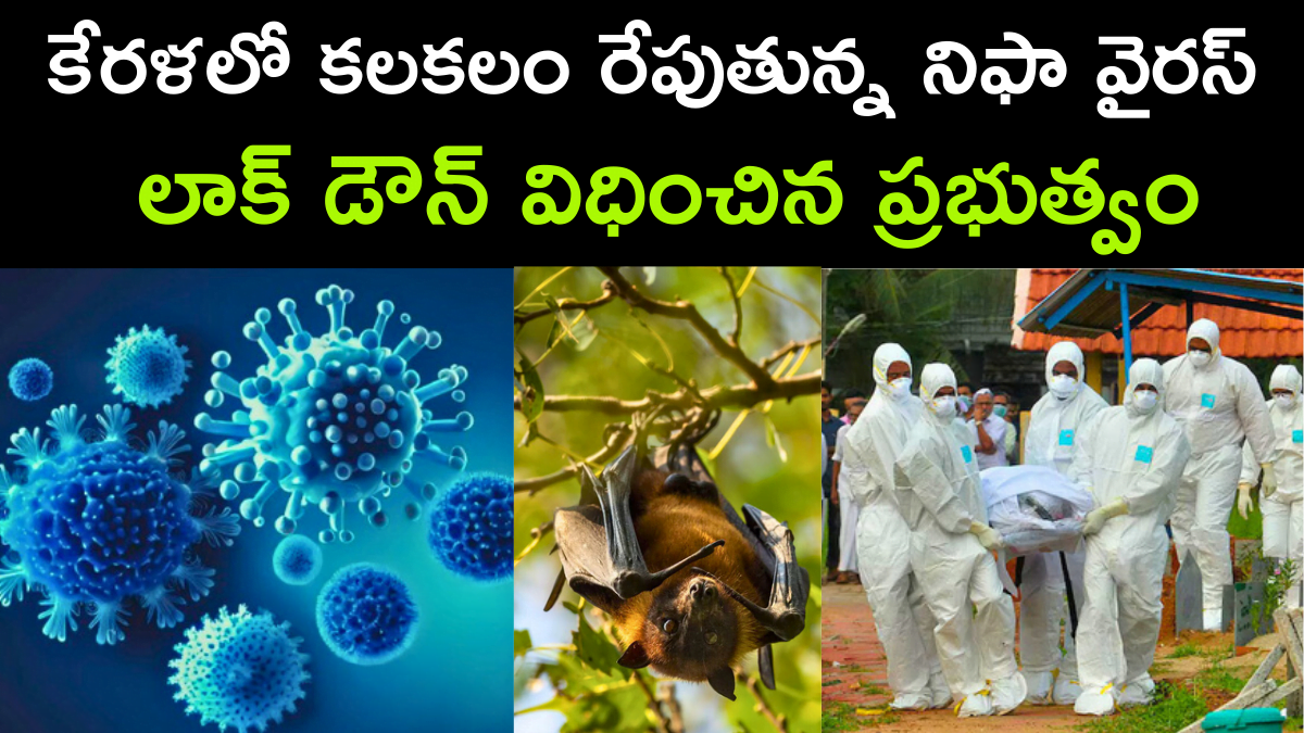 Nipah Virus Outbreak in Kerala, Govt Imposed Lockdown