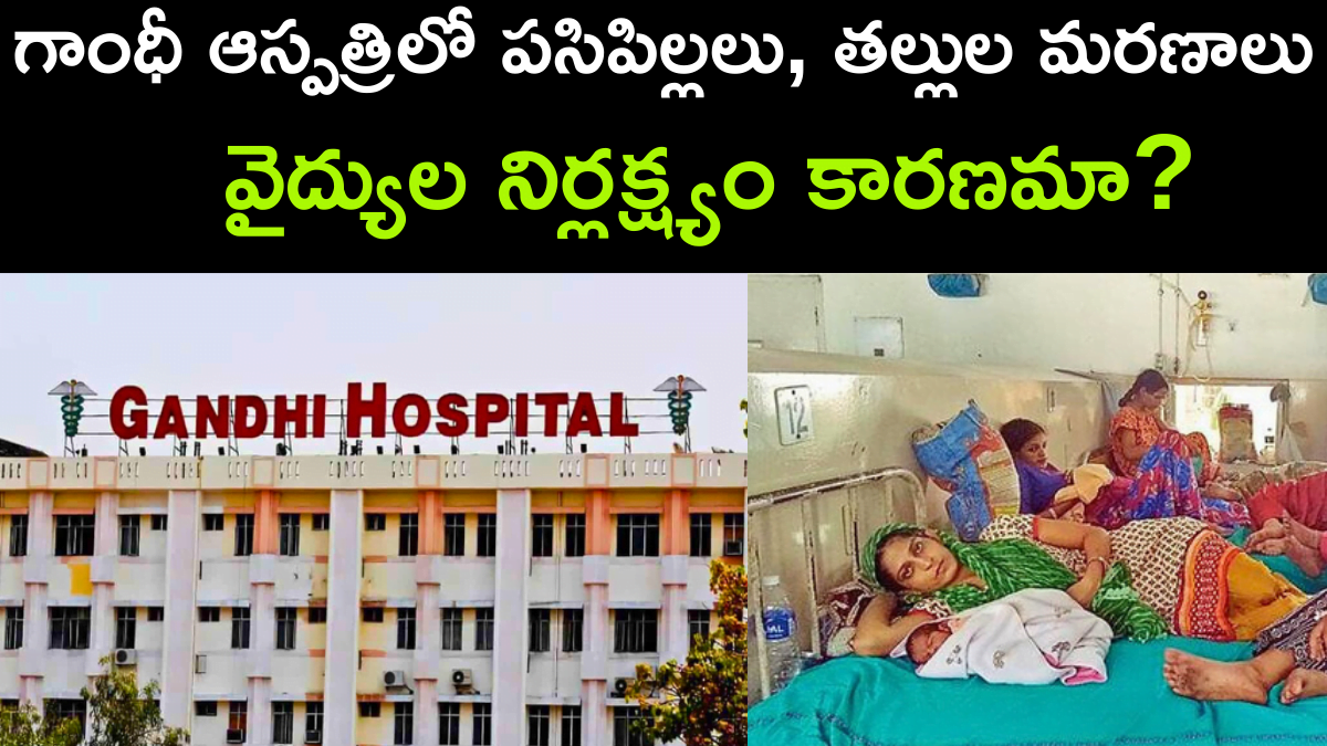 Increased patient deaths in Gandhi Hospital