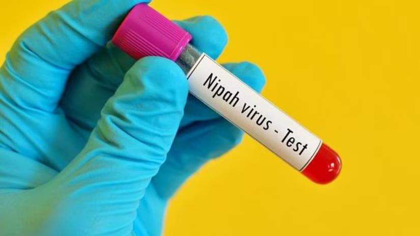 Nipah Virus Outbreak in Kerala, Govt Imposed Lockdown