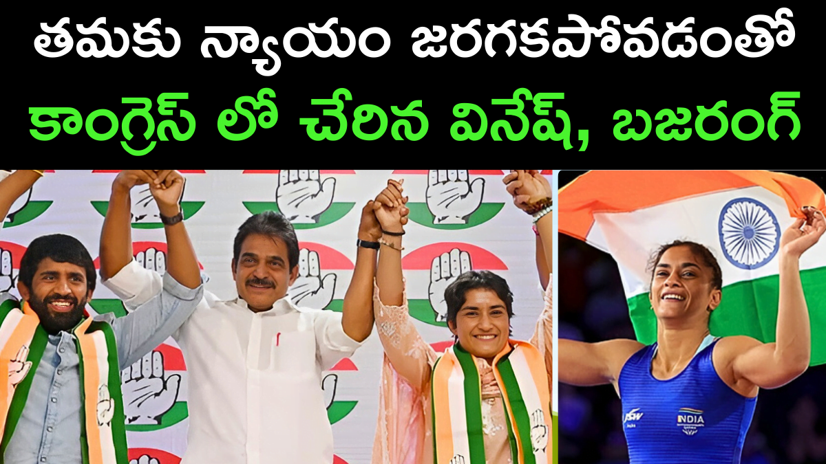 Vinesh Phogat Bajrang Punia Joins Congress