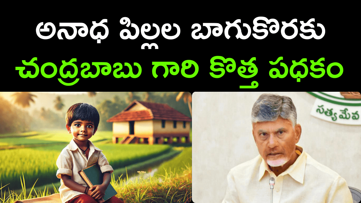 CM Chandrababu Naidu Announced New Pension for Orphans