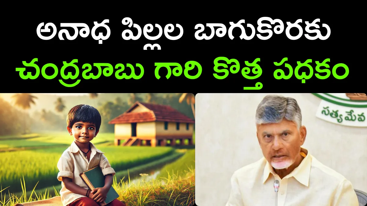 CM Chandrababu Naidu Announced New Pension for Orphans